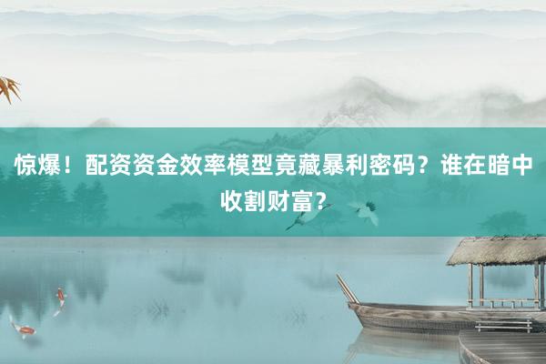 惊爆！配资资金效率模型竟藏暴利密码？谁在暗中收割财富？