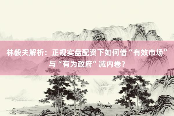 林毅夫解析：正规实盘配资下如何借“有效市场”与“有为政府”减内卷？