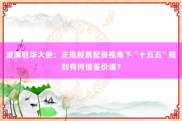 波黑驻华大使：正规股票配资视角下“十五五”规划有何借鉴价值？