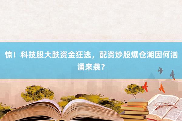 惊！科技股大跌资金狂逃，配资炒股爆仓潮因何汹涌来袭？