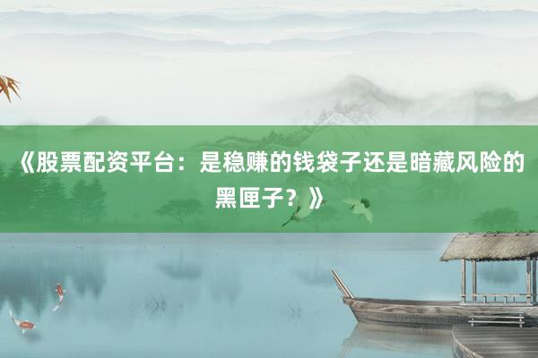 《股票配资平台：是稳赚的钱袋子还是暗藏风险的黑匣子？》